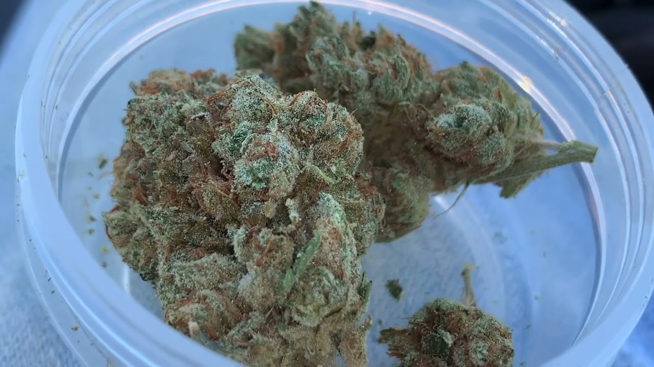 OG KUSH From Josh D Aka @therealogkushstory