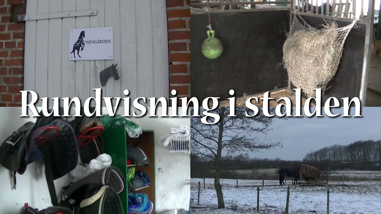 Rundvisning i stalden