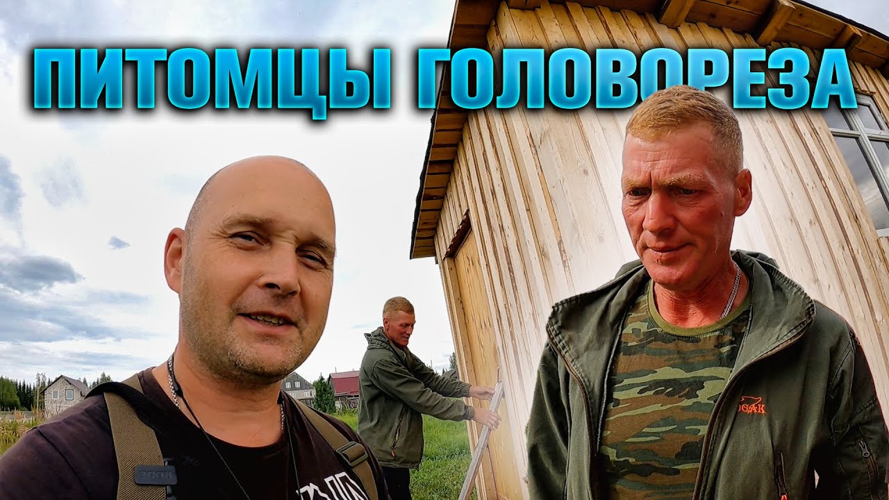 Игрушка ребёнку. Головорез завёл питомцев, едем смотреть.