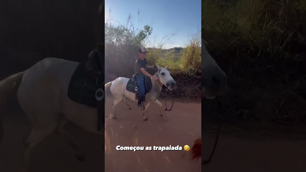 Ele Quase Caiu do Cavalo #pepe #cavalo