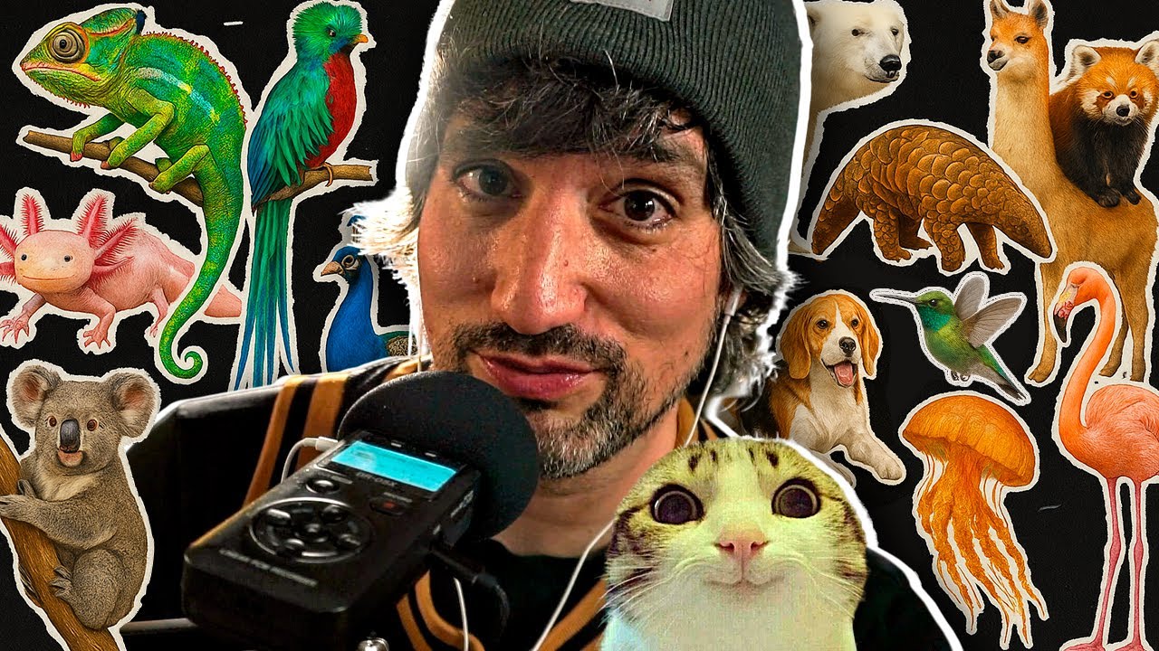 1 hora de CURIOSIDADES ANIMALES [Recopilación ASMR]