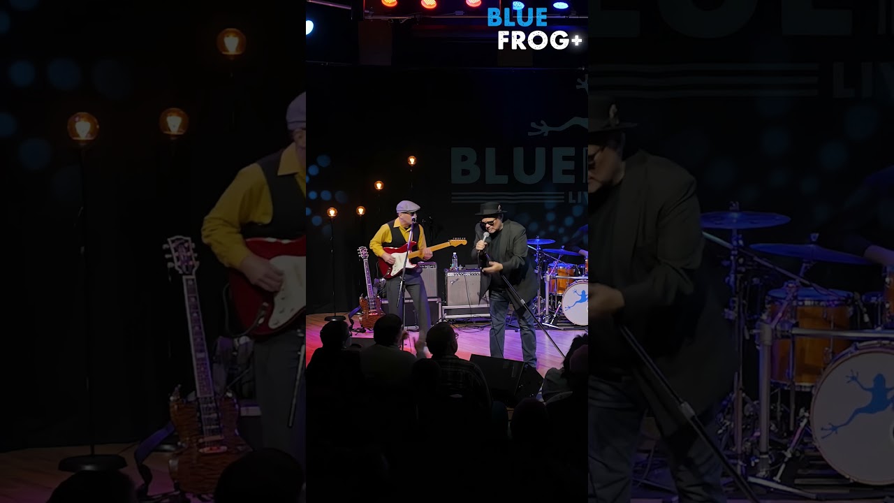 Tylko NAJLEPSZY BLUES! #curtissalgado #szorty