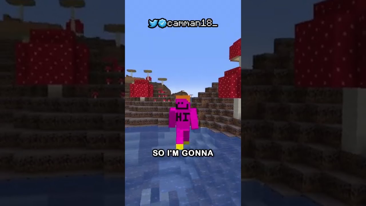 this minecraft secret has been kept secret for 7 years (oops)