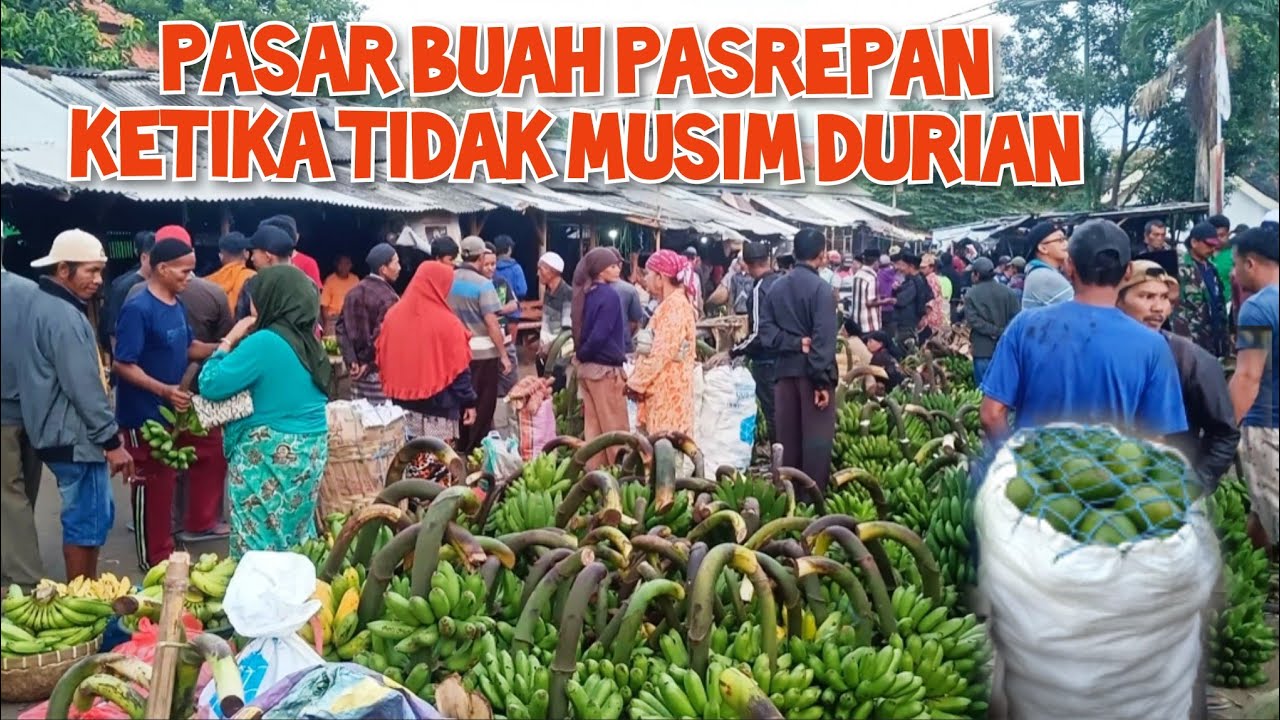 SURVE HARGA ALPUKAT PETTE JERUK JAHE KUNYIT PEPAYA KELAPA DAN BUAH LAINNYA DI PASAR BUAH PASREPAN