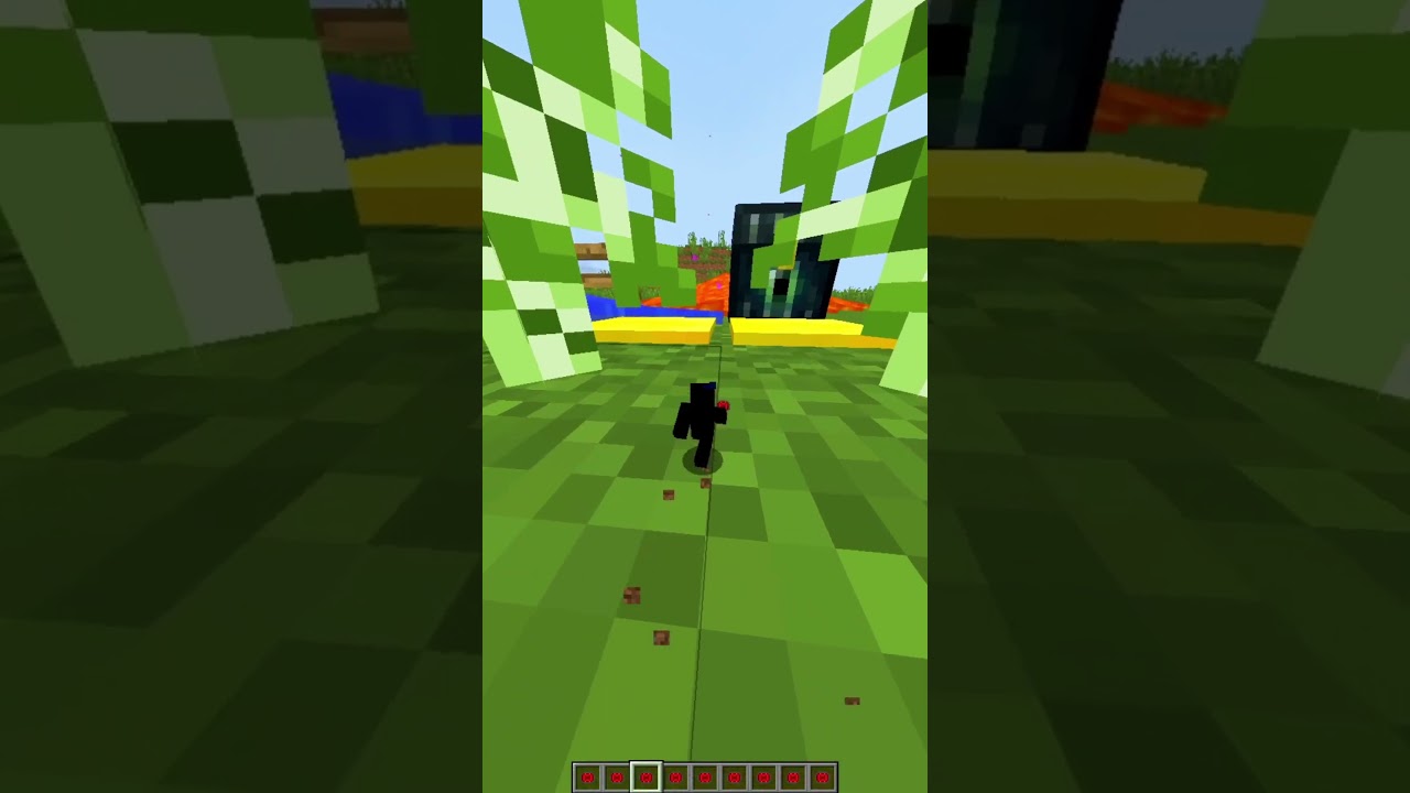 Can i Fit The Whole Way? 😳😳 #minecraft
