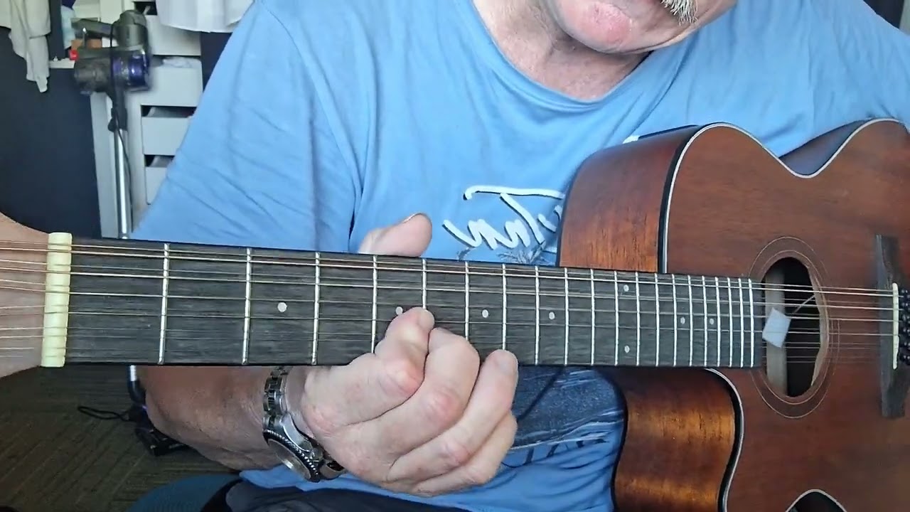 Martinez 12 String Saturday 