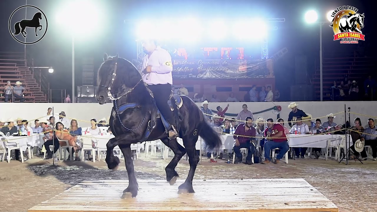 🥉🥈🥇 CABALLOS FRISONES | CONCURSO DE CABALLOS BAILADORES EL FUERTE SIN.