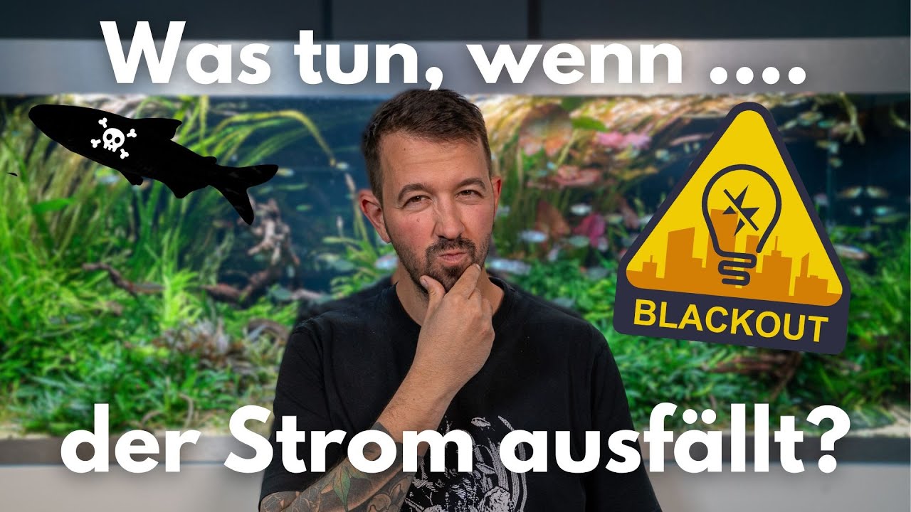 Was tun, wenn der Strom ausfällt? (Notfallmaßnahmen für Technik & Tiere)