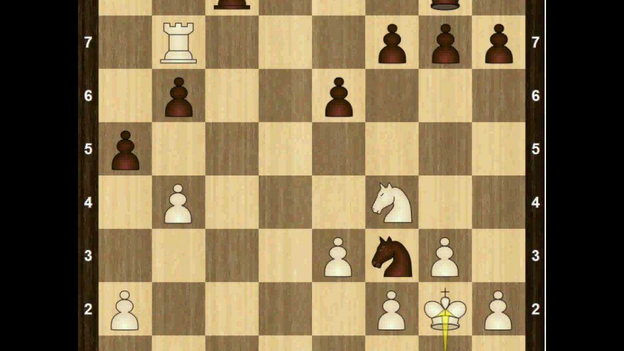 kasparov karpov sewilla1987 partia 24