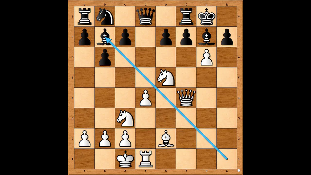 Kralj na meti protivničkih figura 👑⚡⚡⚡👍 DIEMER vs SCHONFUSS #3524