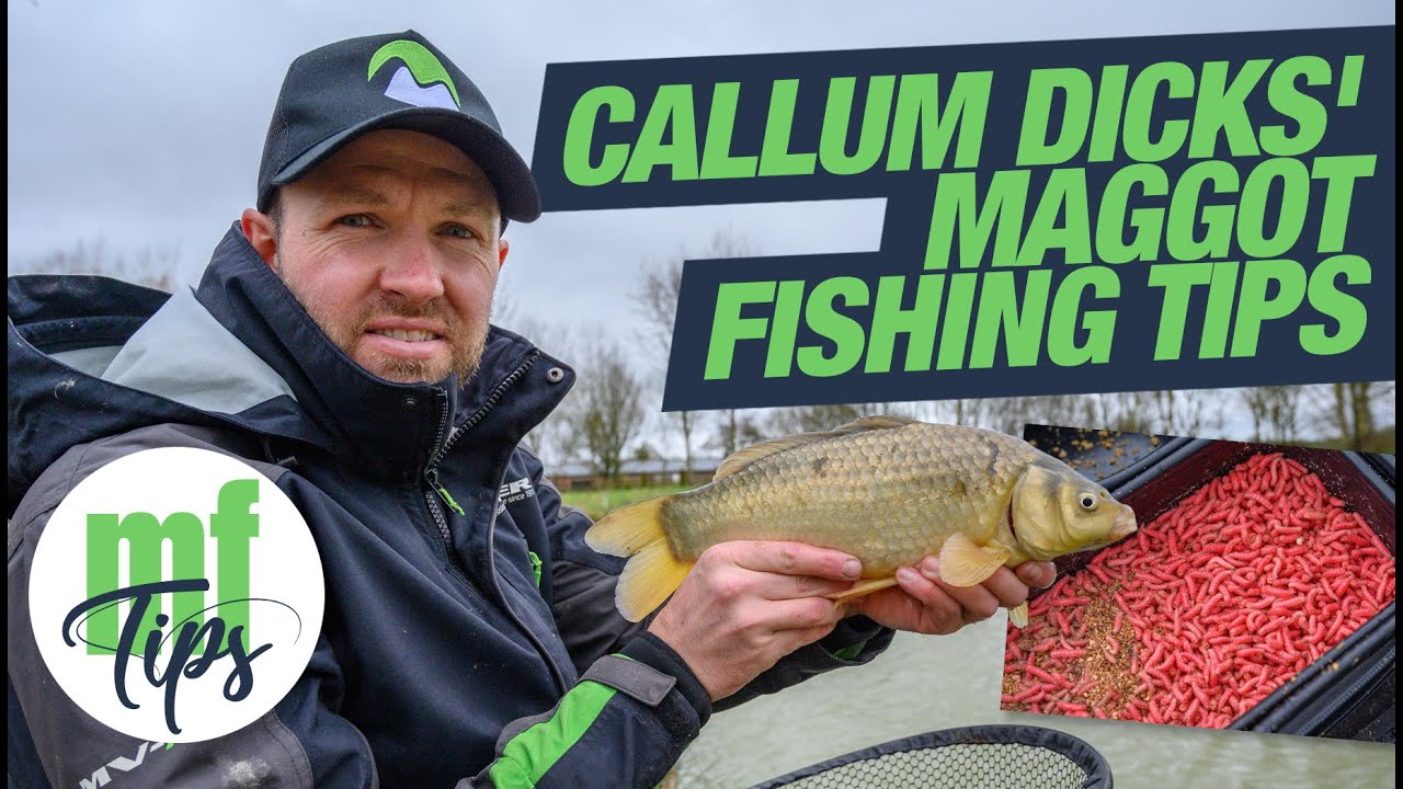 Callum Dicks' Maggot Fishing Tips
