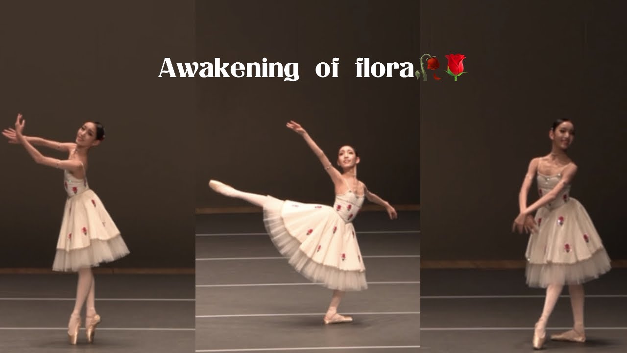 정가인/Awakening of flora/선화무용콩쿠르 특상/중1