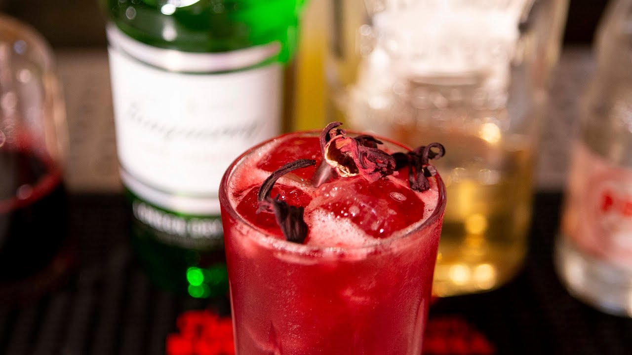 Como fazer o Red Collins, drinque com gim e hibisco