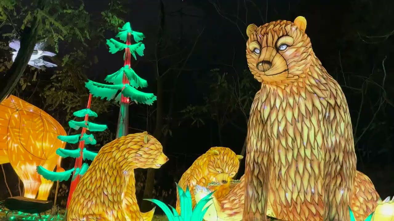 Wild Lanterns at the Woodland Park Zoo