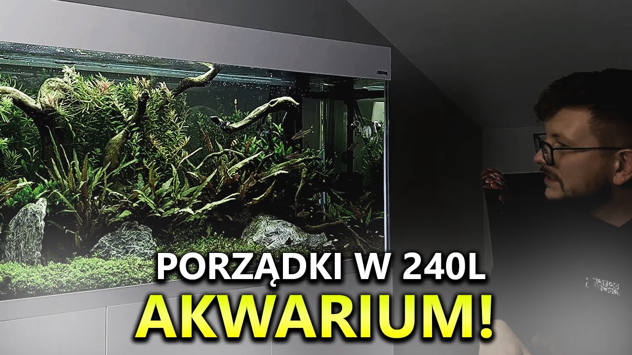 Porządki w 240L AKWARIUM!