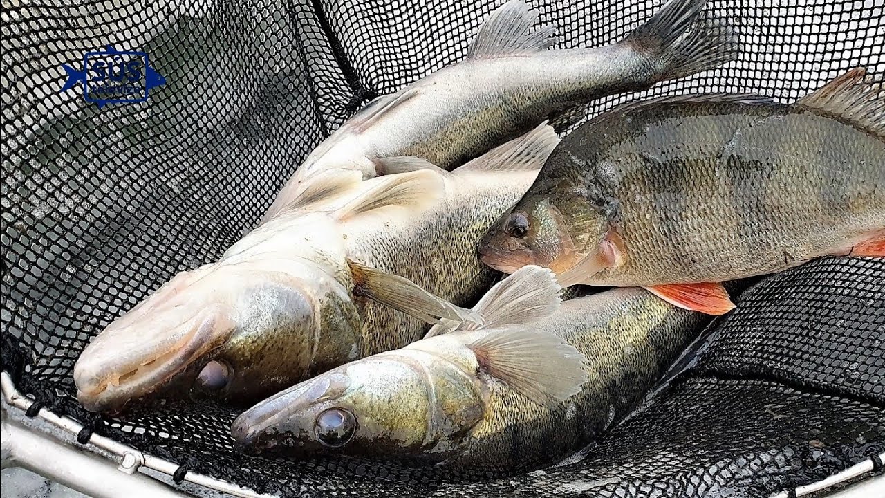 písková lhota otevření