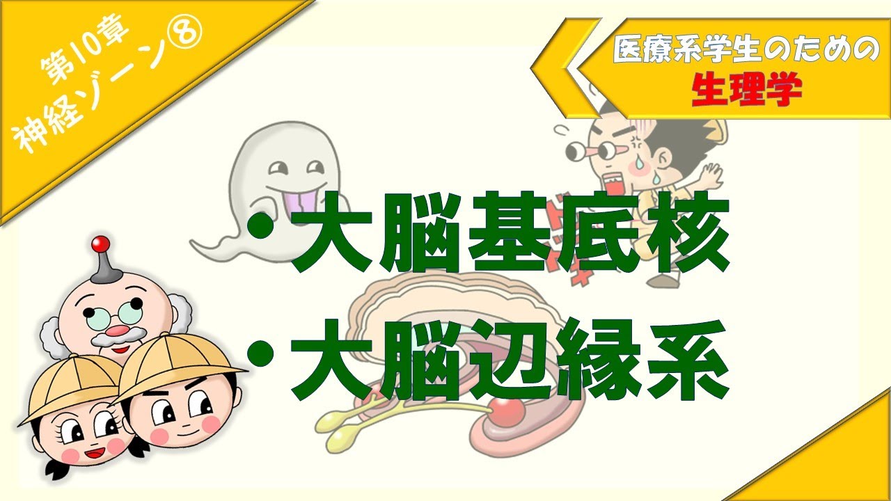 生理学　神経ゾーン⑧　「大脳基底核」「大脳辺縁系」