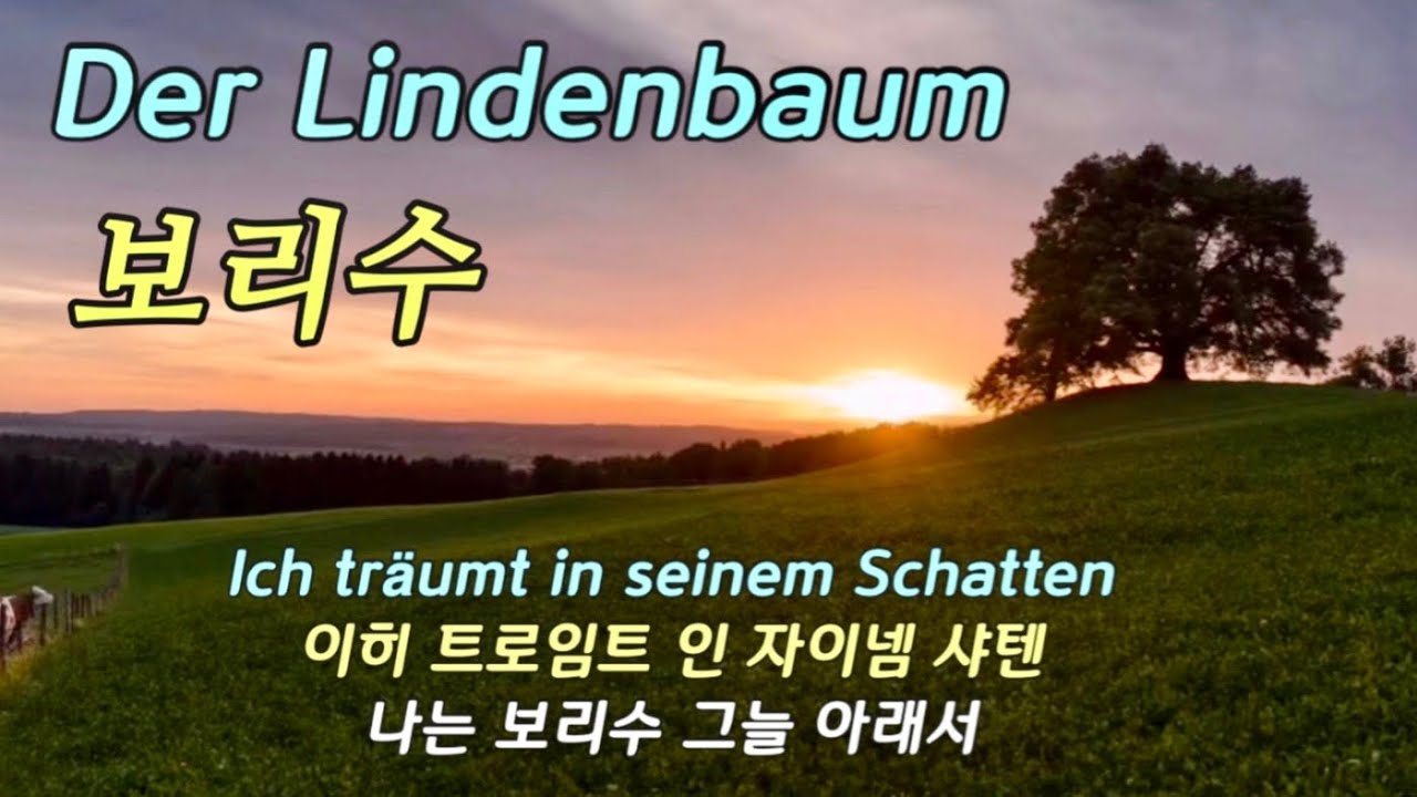 슈베르트 : 겨울 나그네 ‘보리수’ - 피셔 디스카우  Schubert : Winterreise ‘Der Lindenbaum’ - Dietrich Fischer-Dieskau