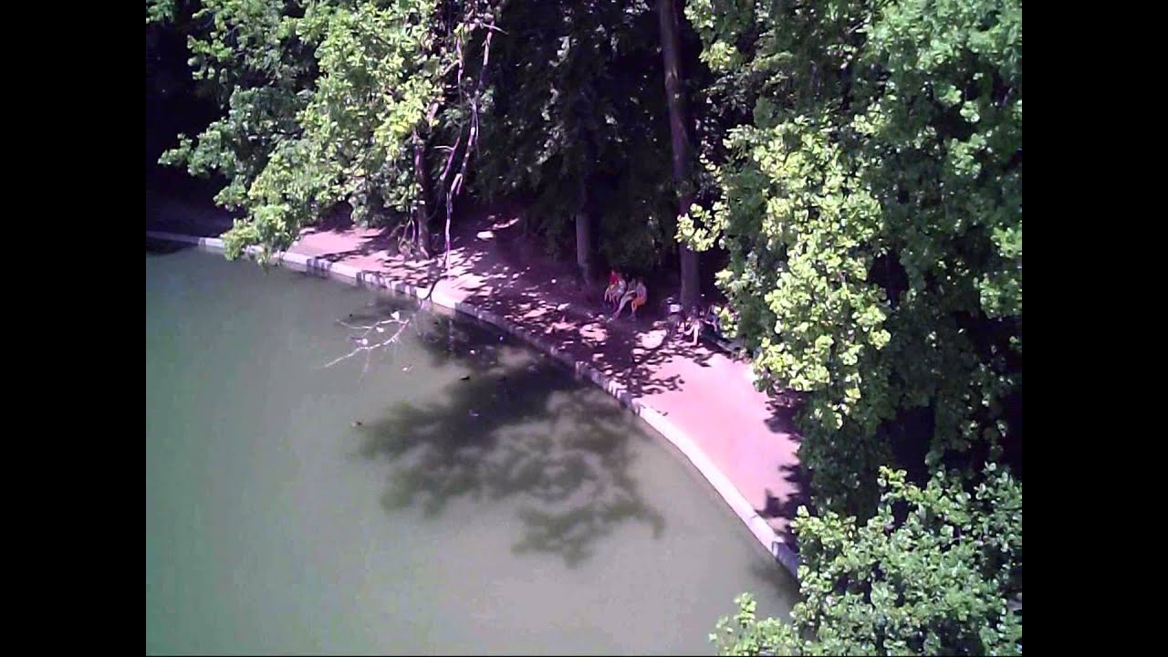 Rayline GmbH - RC Quadrocopter Rayline R809VL FPV 2.4 GHz 4-Kanal XXL-Drohne