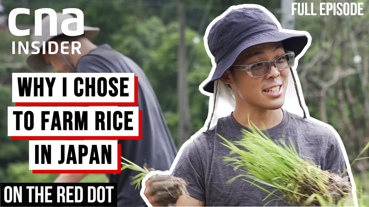 Life Of A Rice Farmer: Growing Rice In Rural Japan | On The Red Dot | Full Episode