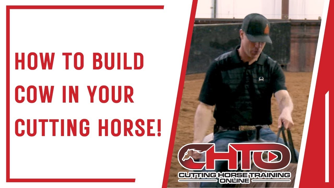 How To Build Cow In Your Cutting Horse!