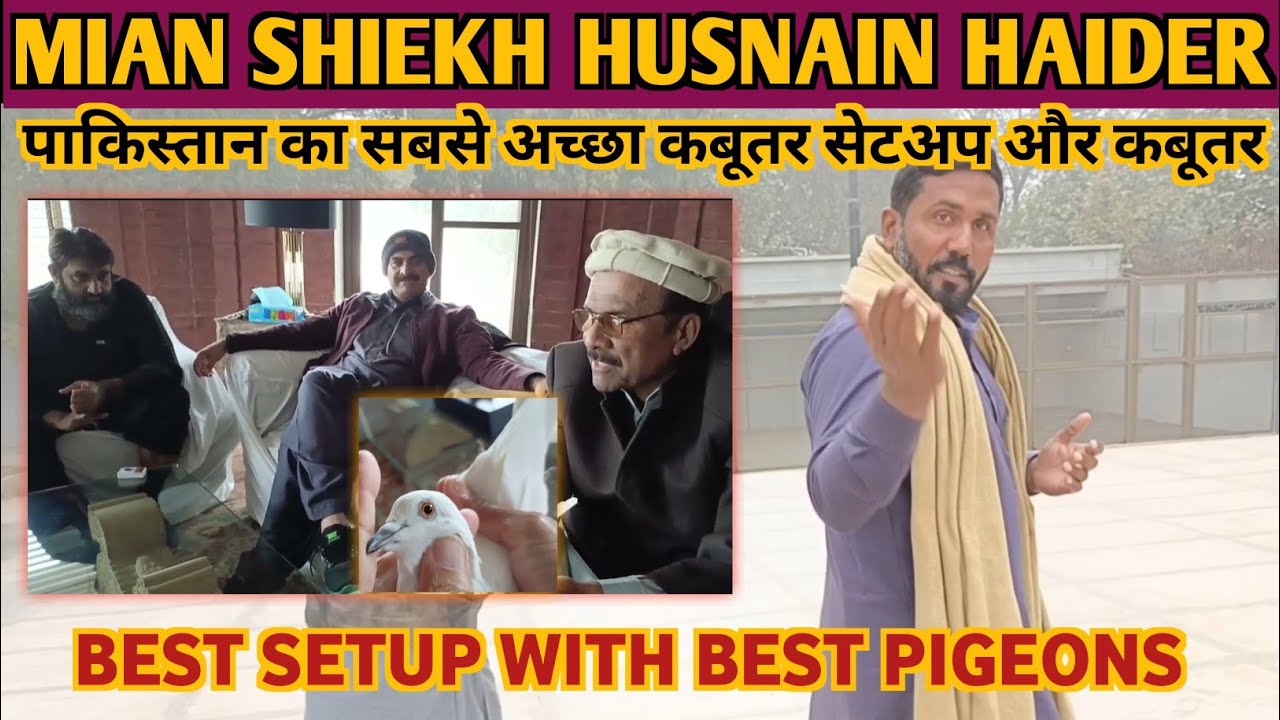 MIAN SHIEKH HUSNAIN HAIDER SB KE SETUP OR KABOTARU KA SHOK #aliimranpigeonsvlog #pigeon #tips