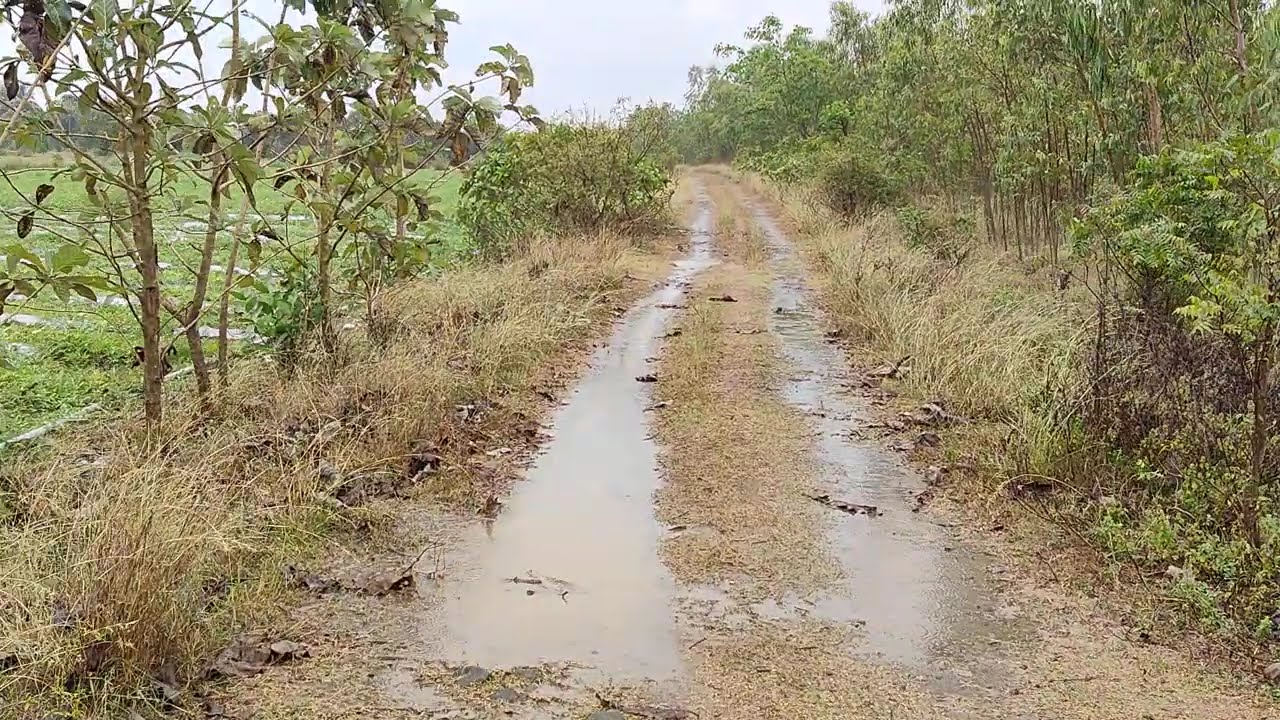 No:84  வீட்டுடன் கூடிய விவசாய நிலம் 23 Acres For  Sale Near Thellar |  9150007976