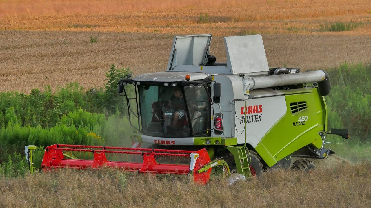 Pierwsze Żniwa Rzepakowe z Nowym Nabytkiem w GR. Strumiński! Claas Tucano 420|