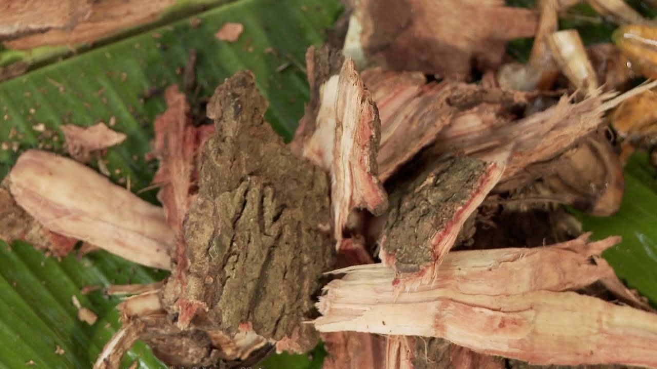 නයිදේ සිත්තර ගුරුන්නාස්සේ 3 | sri Lankan culture Documentary