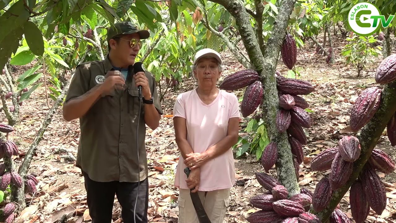 Finca demostrativa de Aguas Frías, Eslabón del Agro