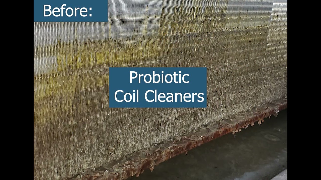 PROAC Corporation Product Summary