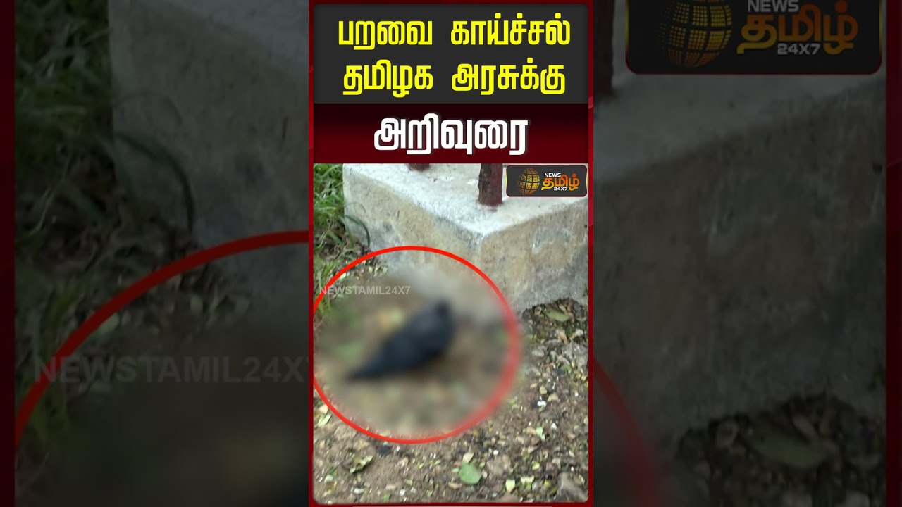 பறவை காய்ச்சல் தமிழக அரசுக்கு அறிவுரை | Advisory Issued to Tamil Nadu Government on Bird Flu |