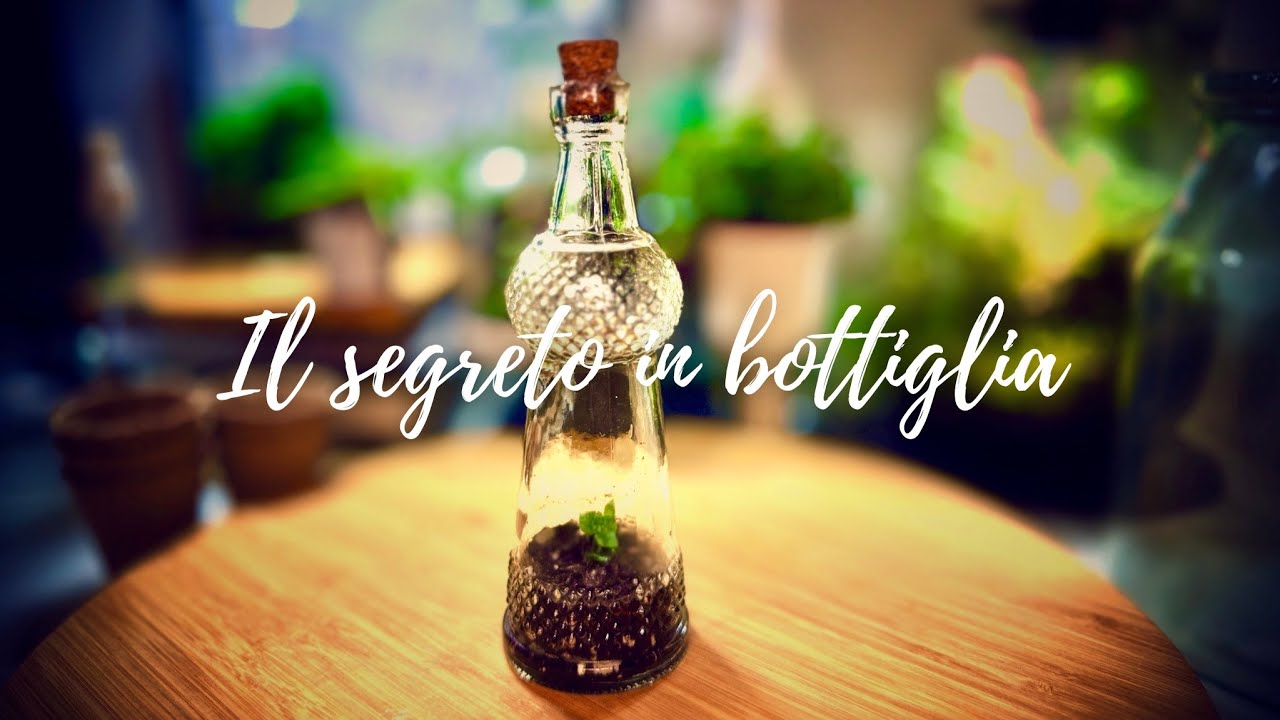 Terrario in Bottiglia Antica | Un Microcosmo Sigillato da Raccontare