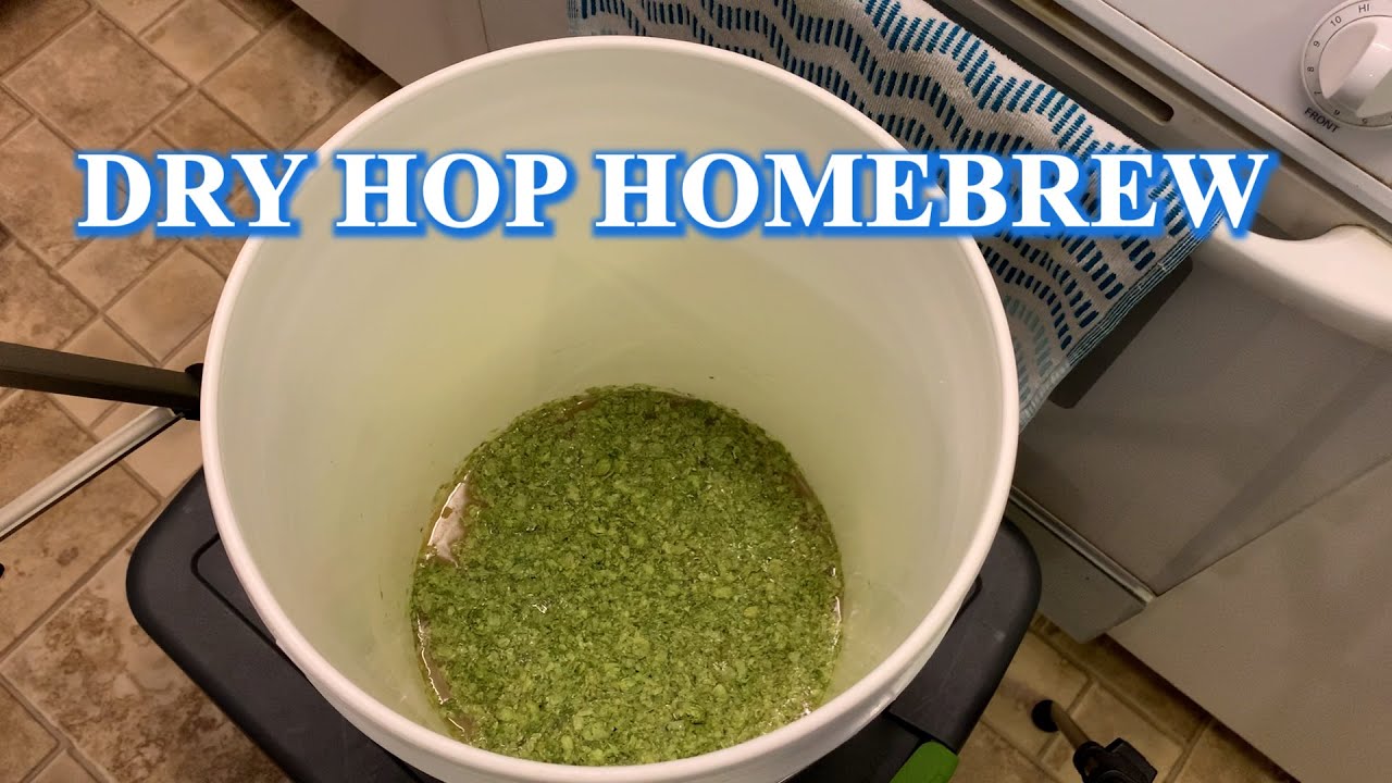 How to Dry Hop Homebrew