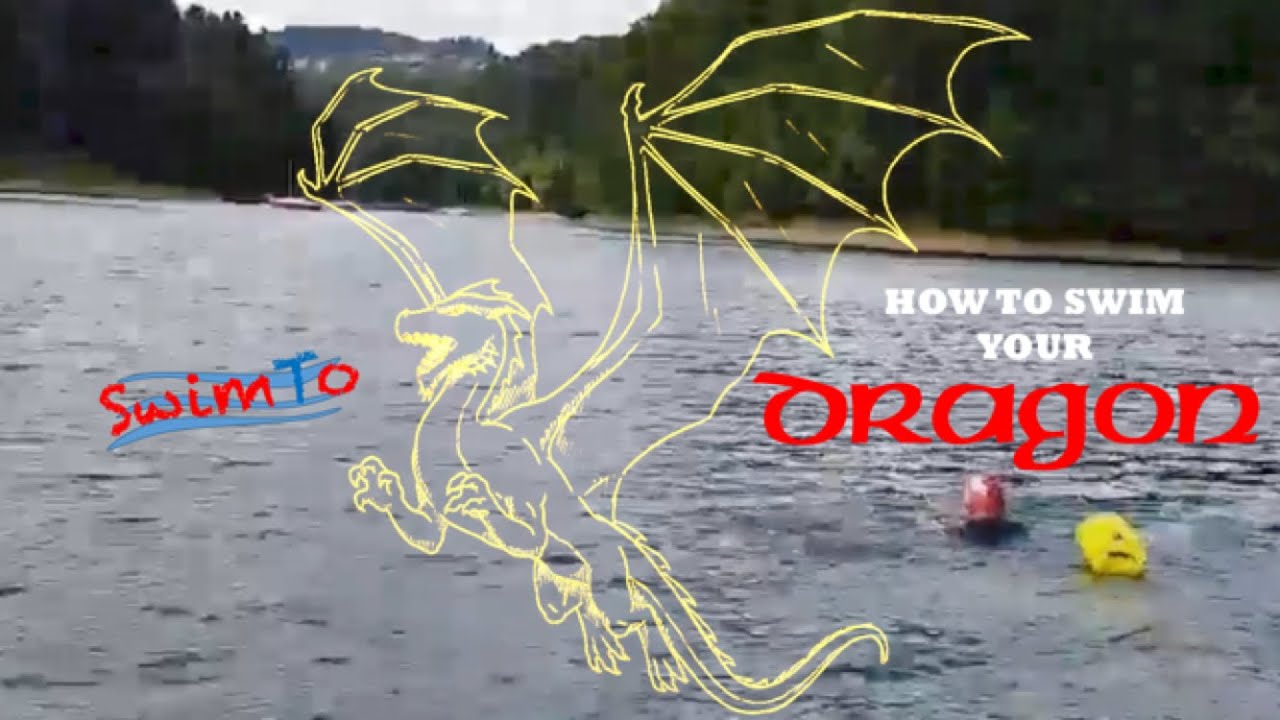 How To Swim Your Dragon - Lake Solina - SwimTo - Wild swimming - Open Water Swimming