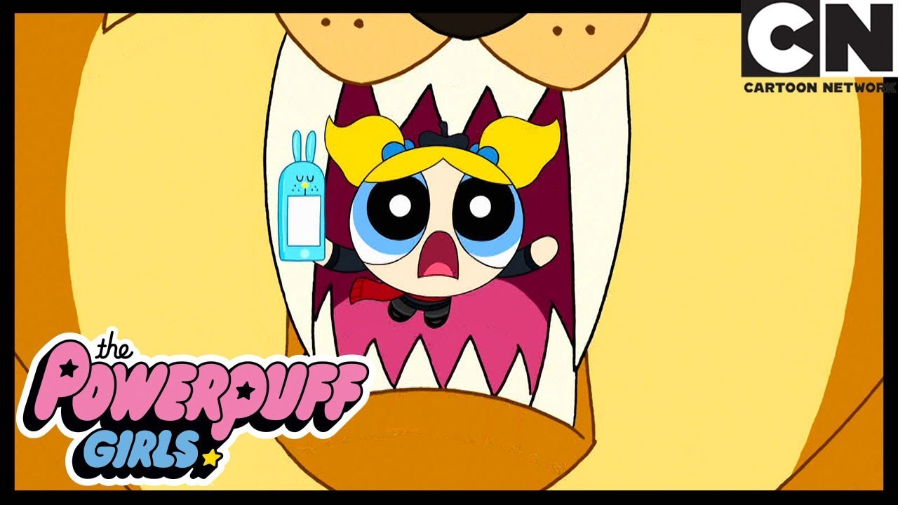 15 Minutos De Fama | As Meninas Superpoderosas | Cartoon Network