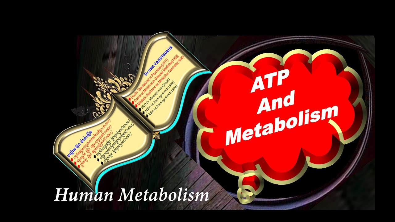 ATP: Universal Currency