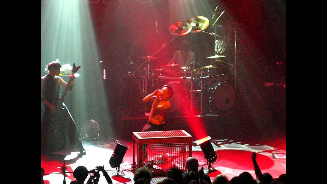 Diabolos DIR EN GREY - TABULA RASA TOUR 2013 (Paris 13/06/2013)