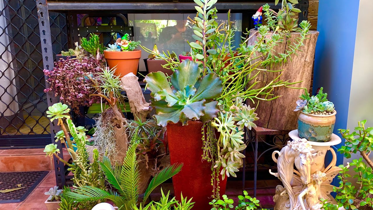 Tall Pot Succulent Arrangement