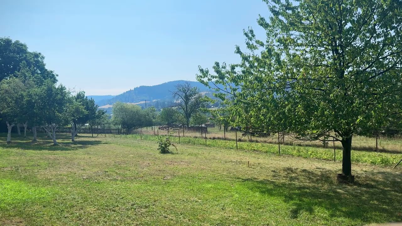 Real Village Garden Soundscape | Crisp Hilltop Breeze, Sunny Garden & Soft Farm Sounds [4K UHD]