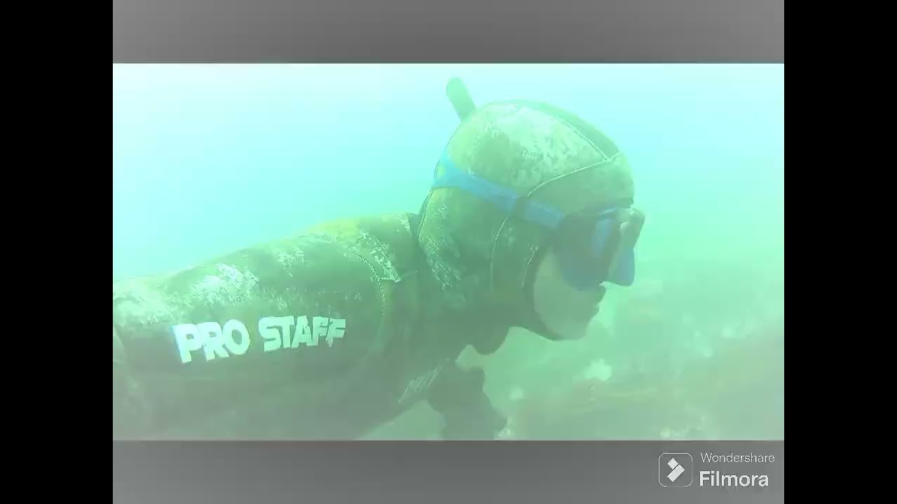 P&ecirc;che de homards au pays des dauphins