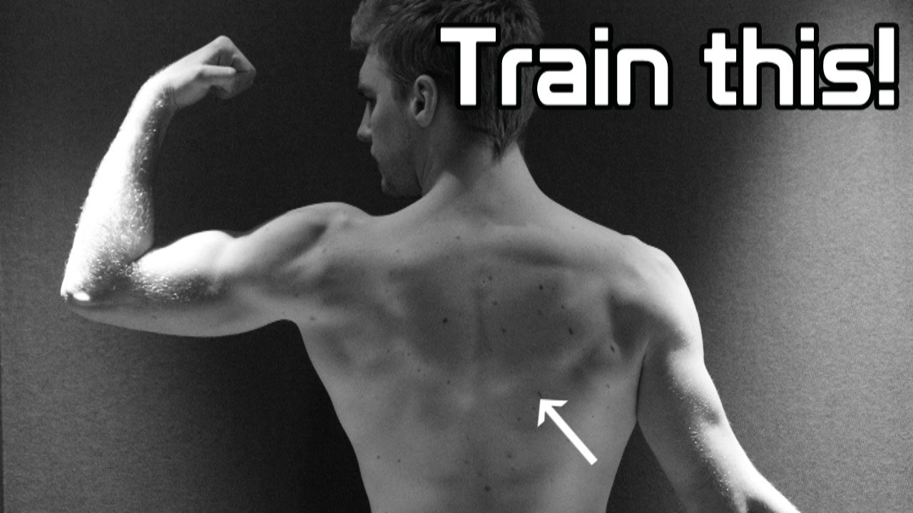 How to fix your Posture (no more rounded shoulders) With Calisthenics!