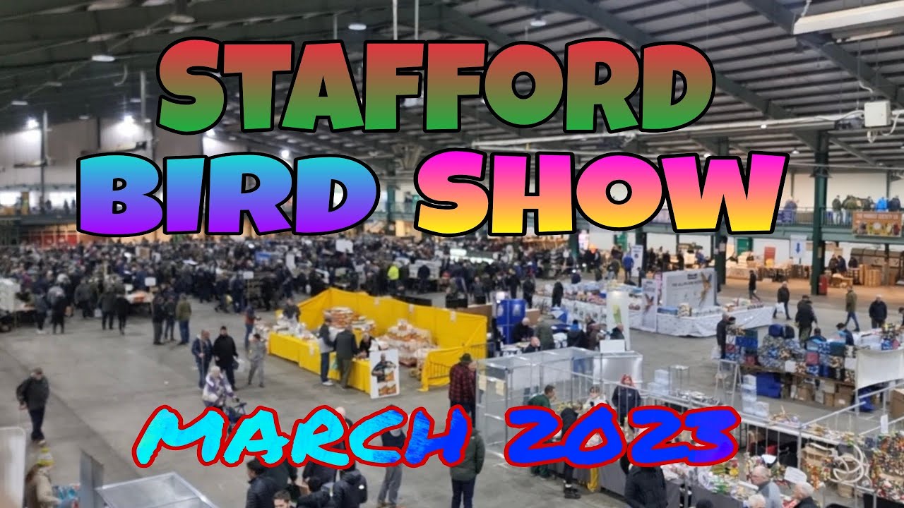 Stafford Bird Show - March 2023