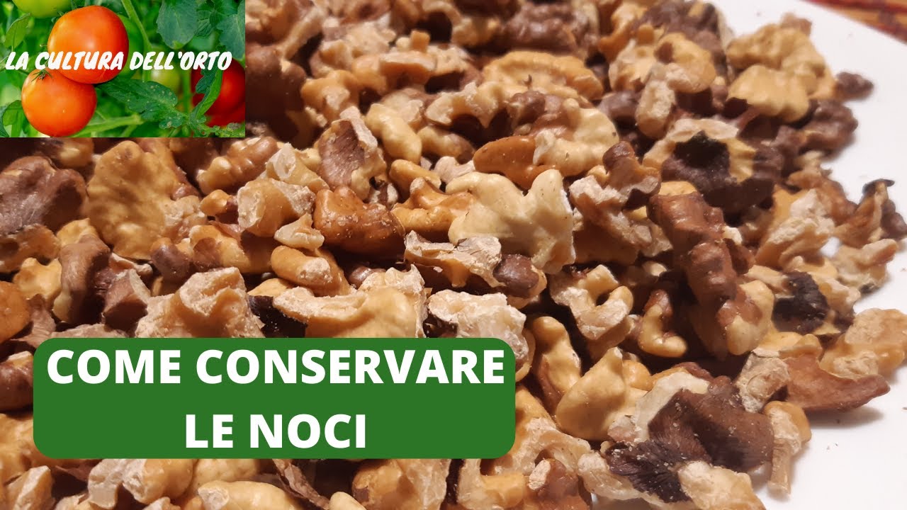 Come conservare le noci. Due Metodi semplici.