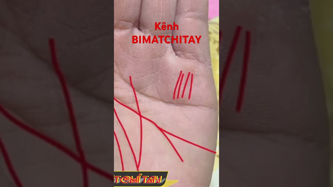 Xem tướng tay - V&acirc;n n&uacute;i tr&ecirc;n h&ograve; Th&aacute;i dương #shorts #xemchitaymienphi