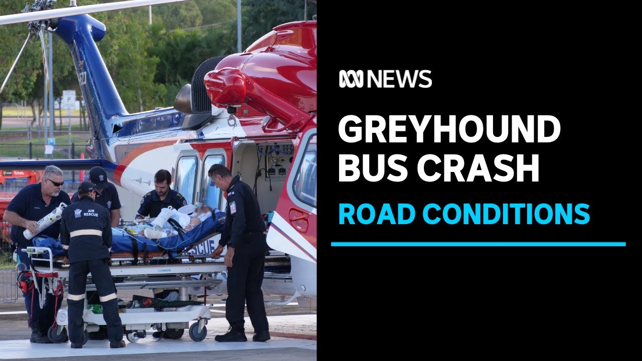 Greyhound bus crash prompts investigation into Bruce Highway conditions | ABC News