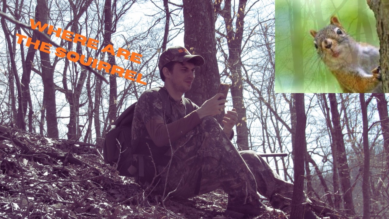 squirrel hunt