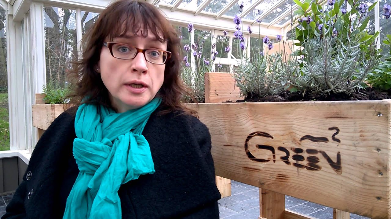 Groen als medicijn voor ziekenhuizen
