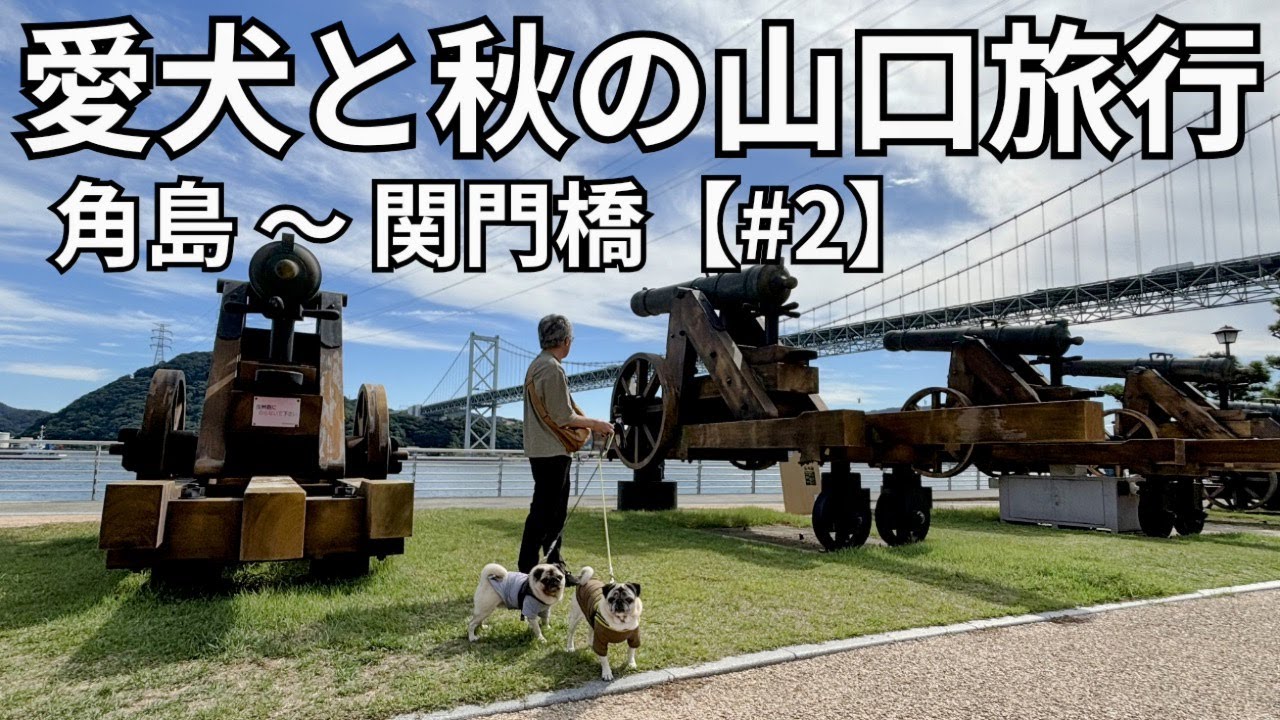 愛犬と秋の山口旅行　角島～関門橋【#2】『むぎ🐶はる、関門橋を間近に煙の出る大砲を見てびっくりだワン🐾！』