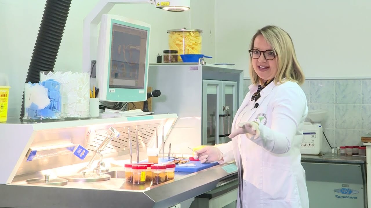 Naučnik In: dr. med. sci. Emina Dervišević, Medicinski fakultet UNSA